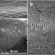 Image for article titled Change Your Hair Color By Etching Nano-Patterns Into Each Strand